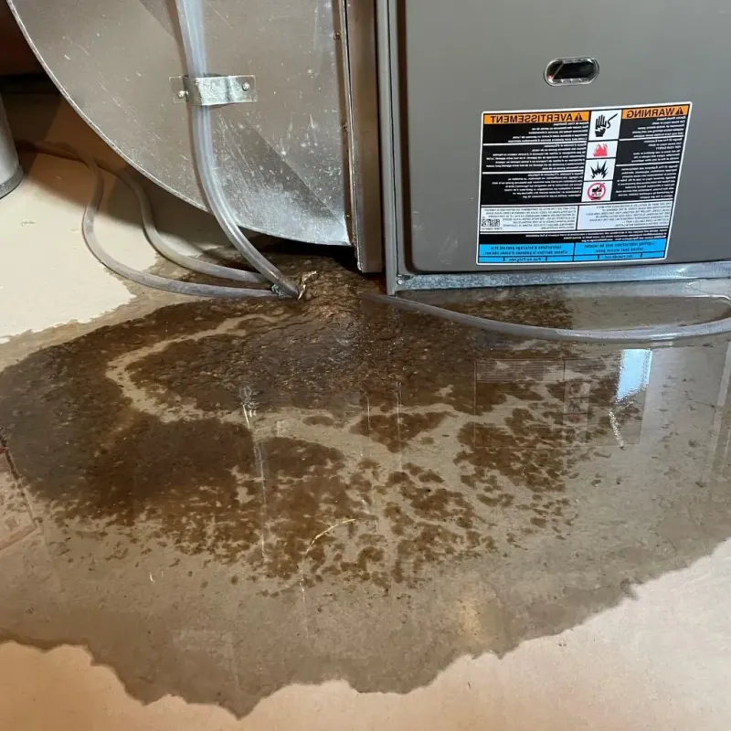 Pipe Burst and Leak Restoration in Parcelas La Milagrosa, PR