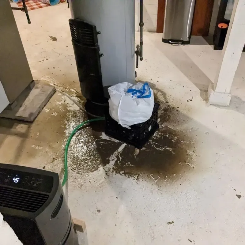 Sewage Backup Cleanup Service in Parcelas La Milagrosa, PR